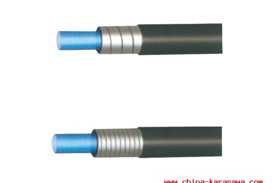 2PSIS�ͱ�z�׹�